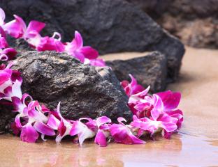 Lei
