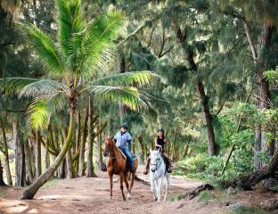 Horseback ride