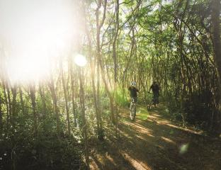 Mountain biking