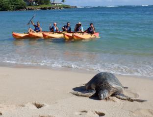Shaka Kayak