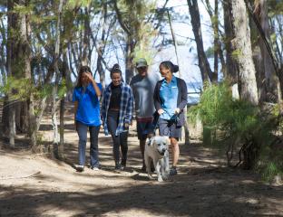 Pono hike
