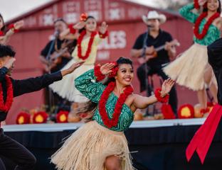 Paniolo Hula Dance