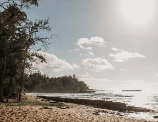 Stables Beach