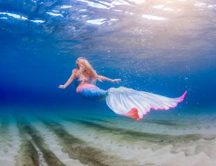Mermaid