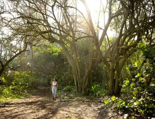 Oahu hiking trails