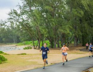 turkey trot