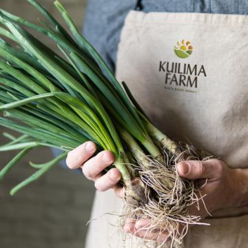 Kuilima Farms