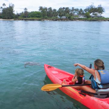 Turtle Kayak tour