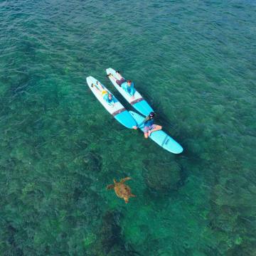 Jamie O'Brien Surf Experience