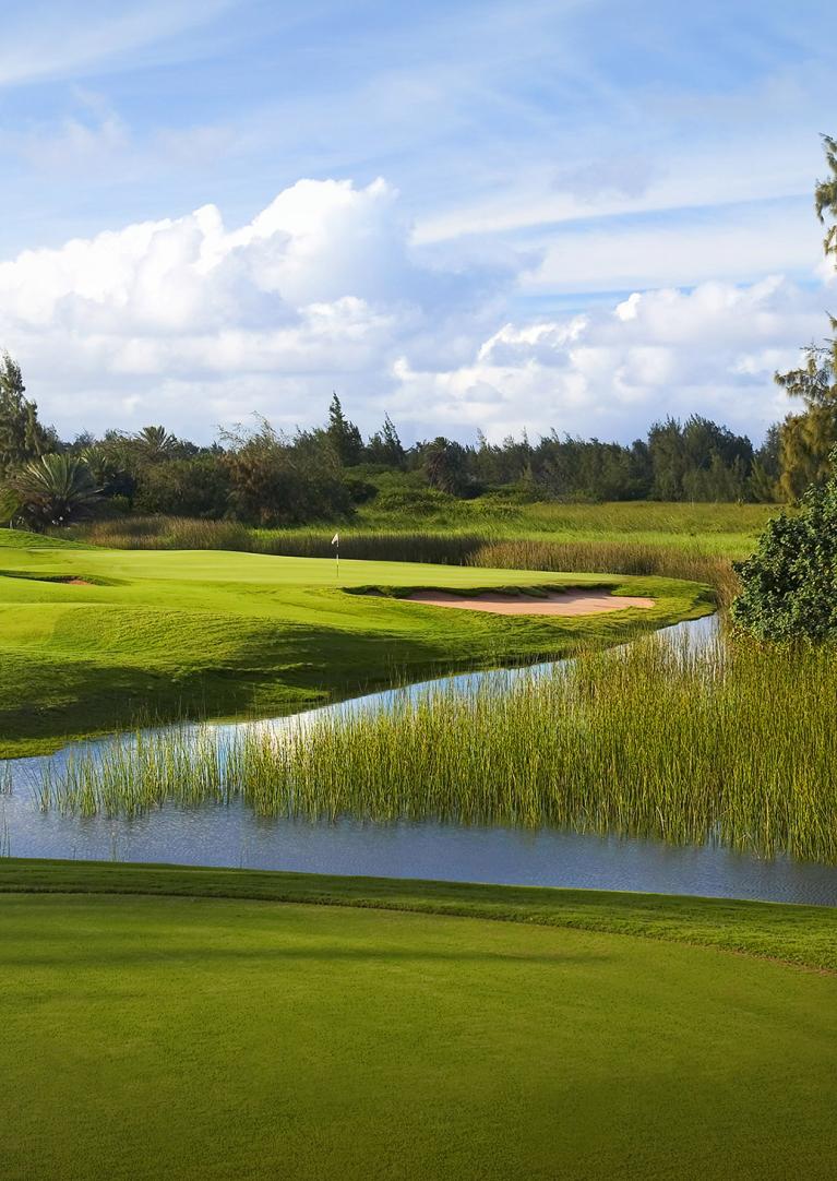 Golf Rentals Oahu Golf Club & Cart Rentals