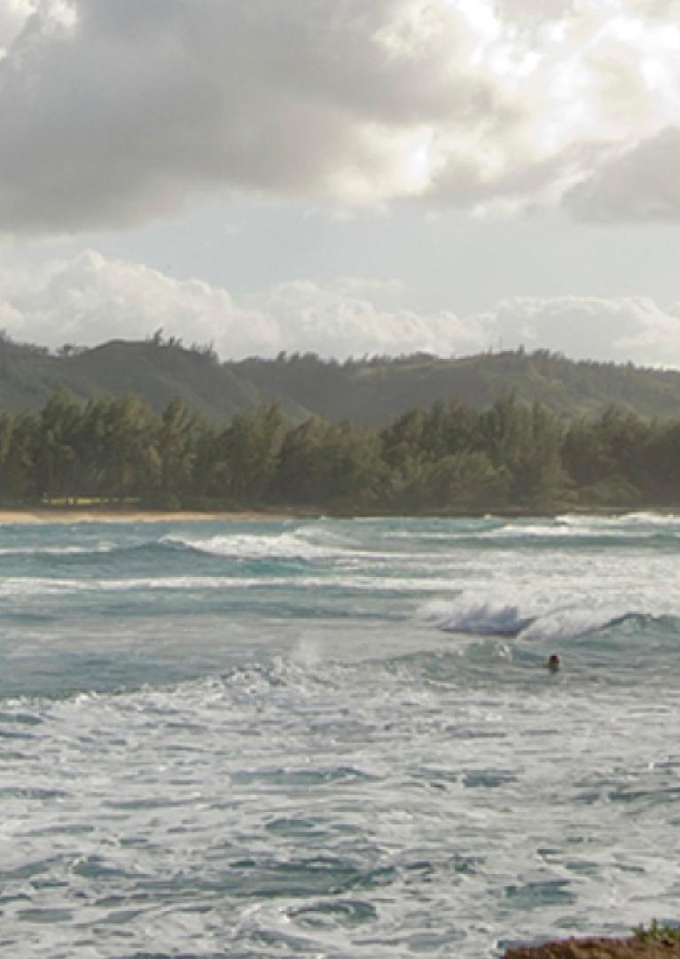 A surfer on a beach.