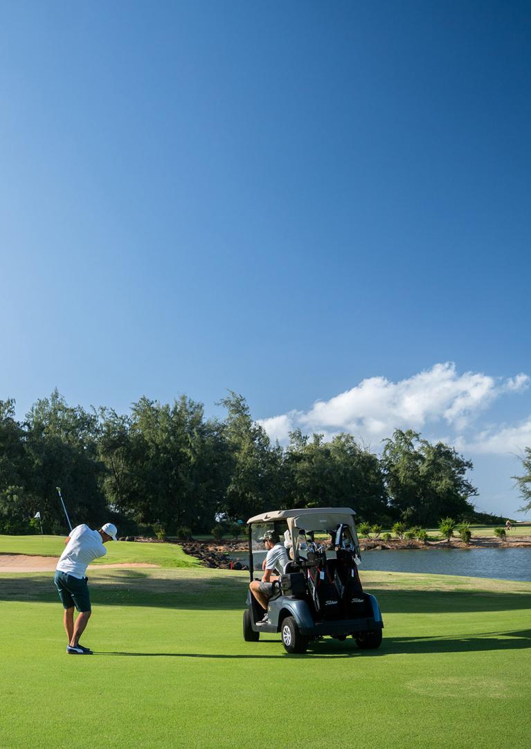 Golfers on Turtle Bay course green