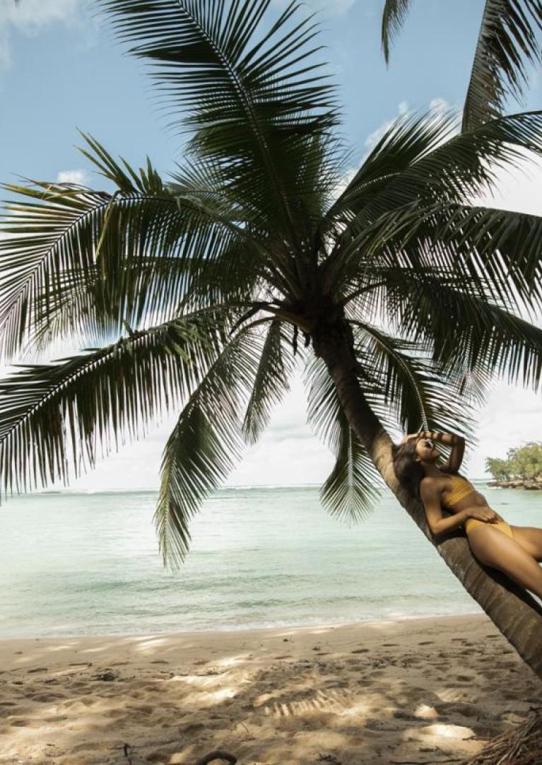 A woman in a bikini lounging against a palm tree on the beach