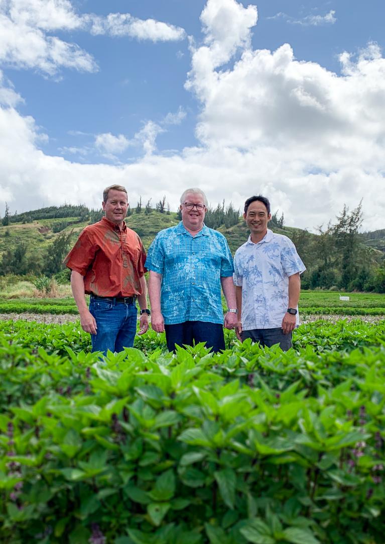 Jerry Gibson, Pono Pacific