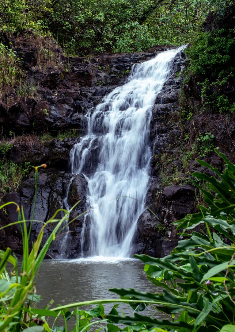 Waimea Valley Waterfall Annissa Burcham