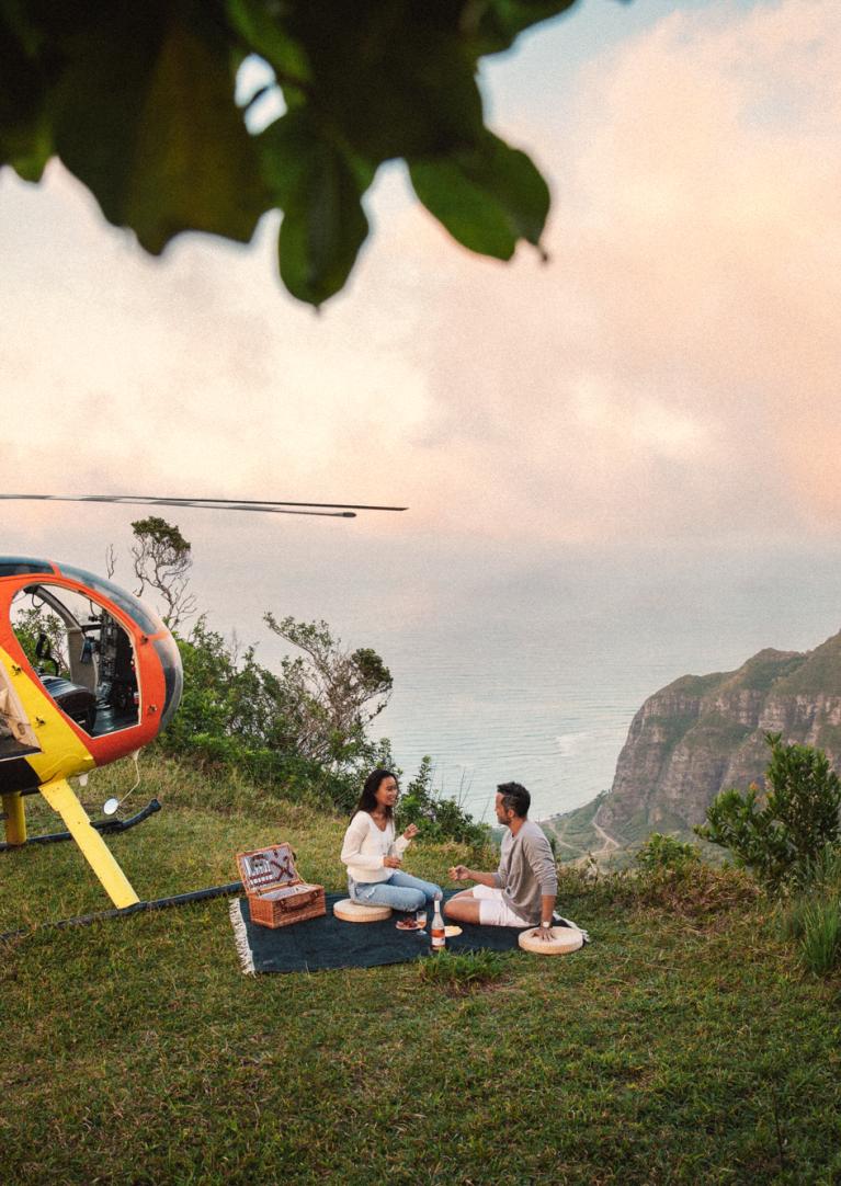 helicopter perch picnic