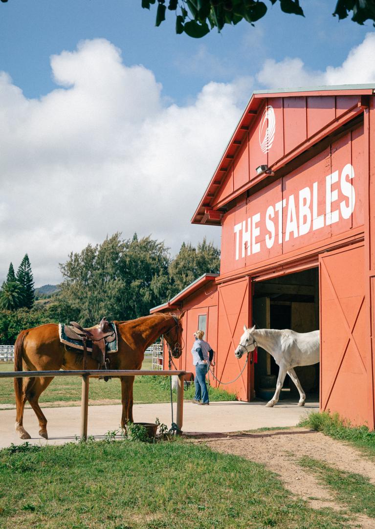 Stables Barn
