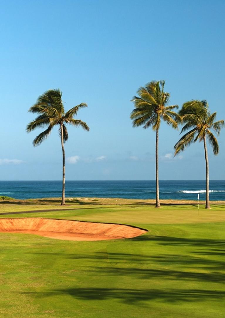 palm trees golf
