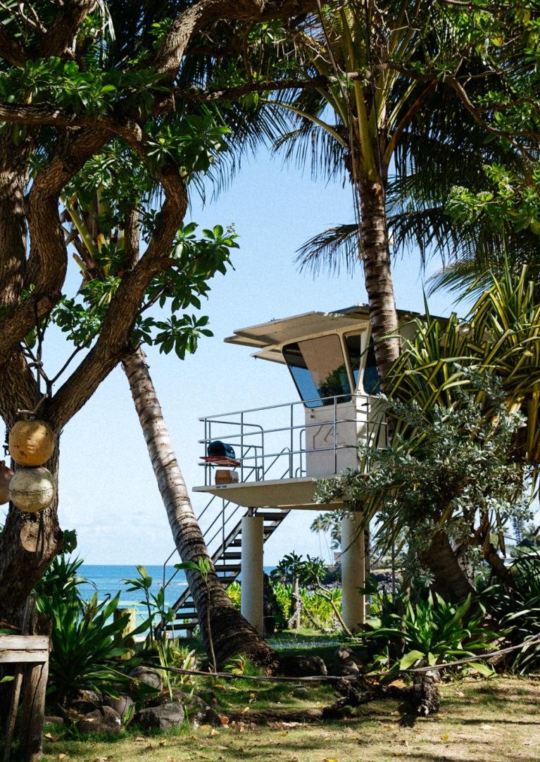 north shore lifeguard