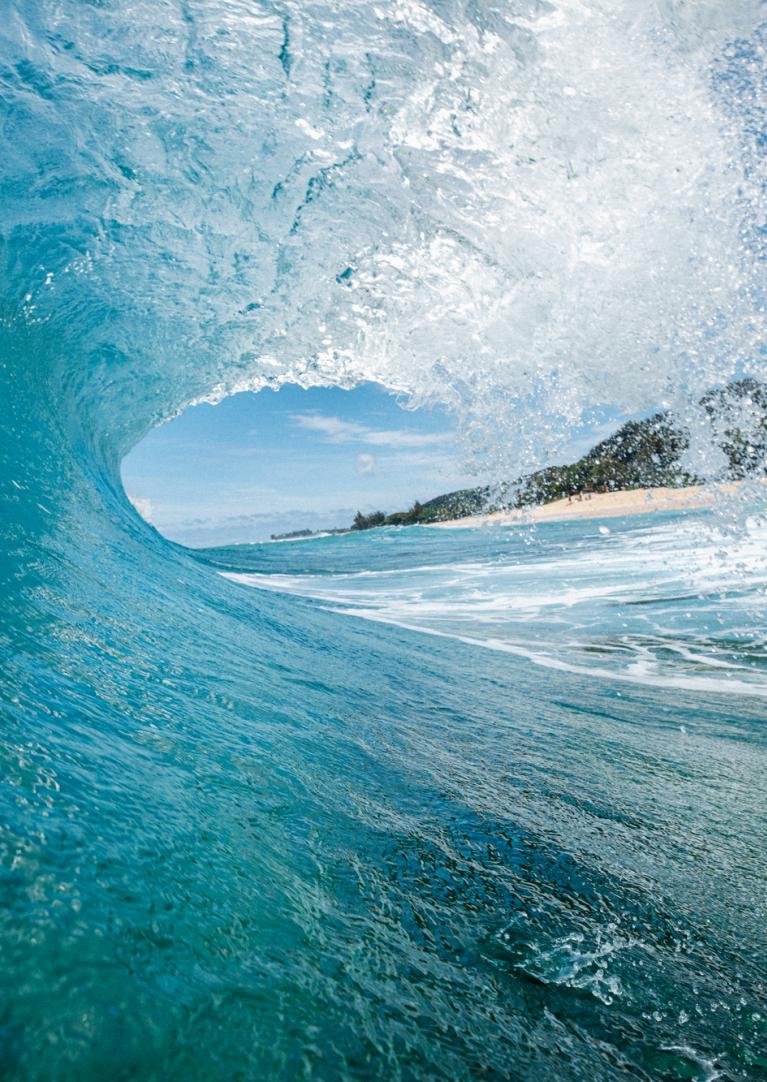 Best North Shore Surfing Beaches