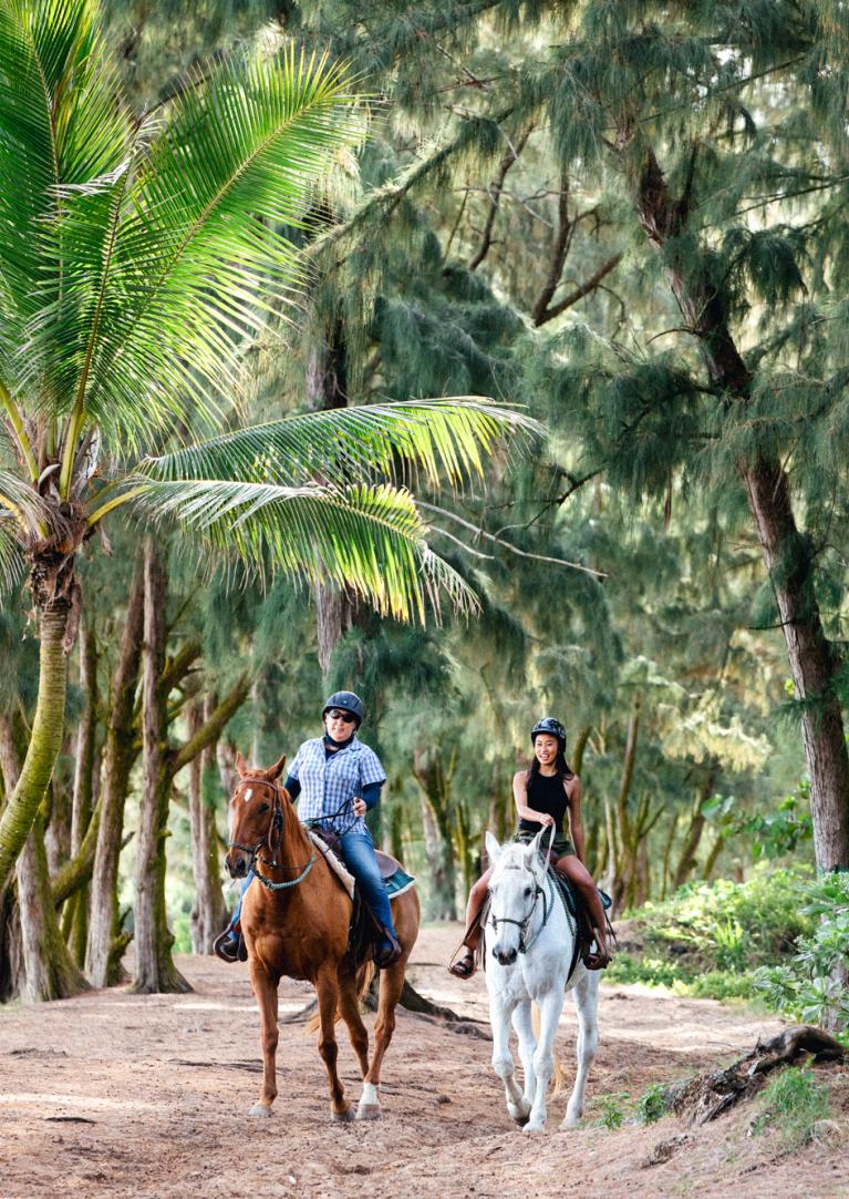 Horseback ride
