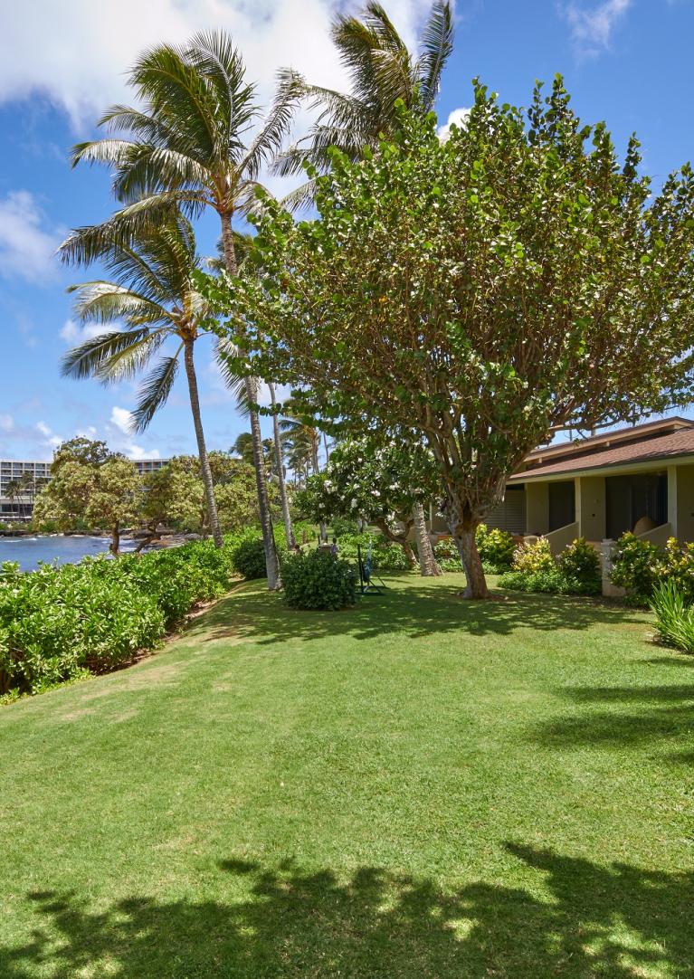 Ocean Bungalow view