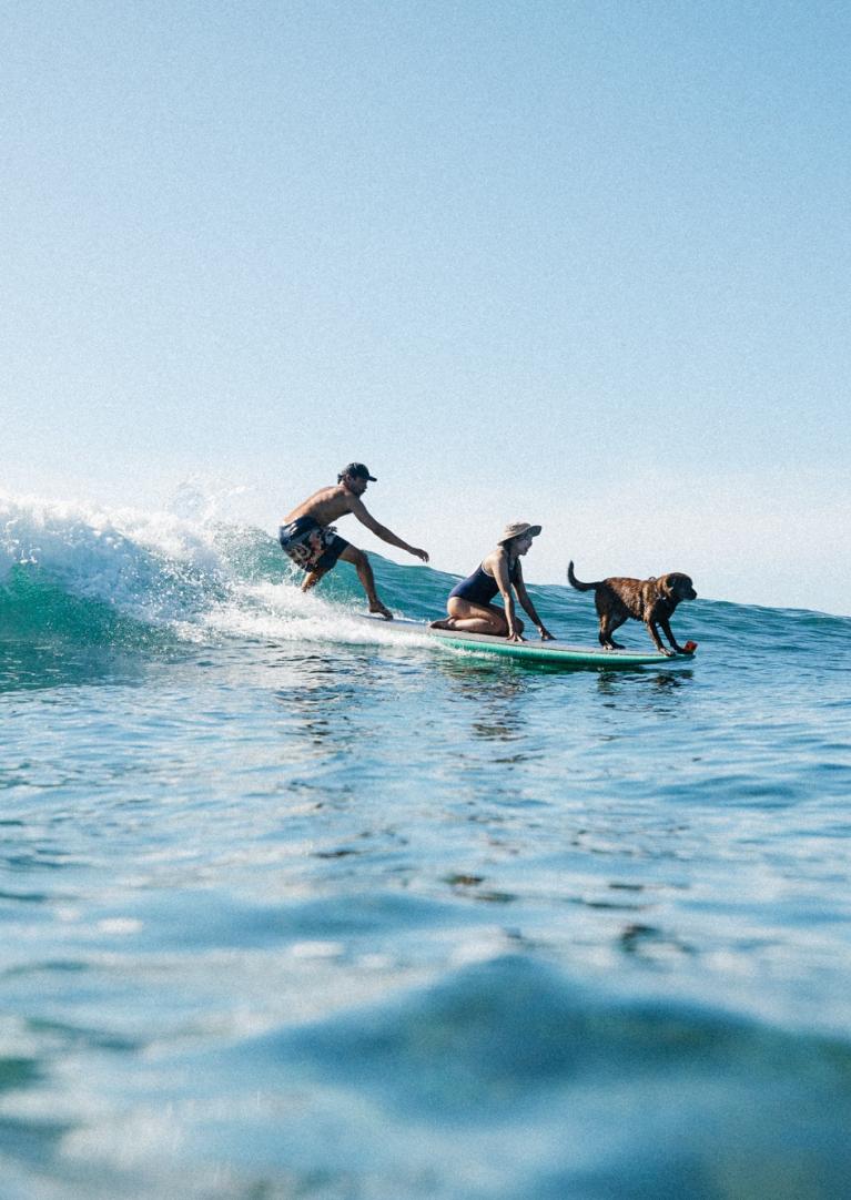 Surf with a Pup