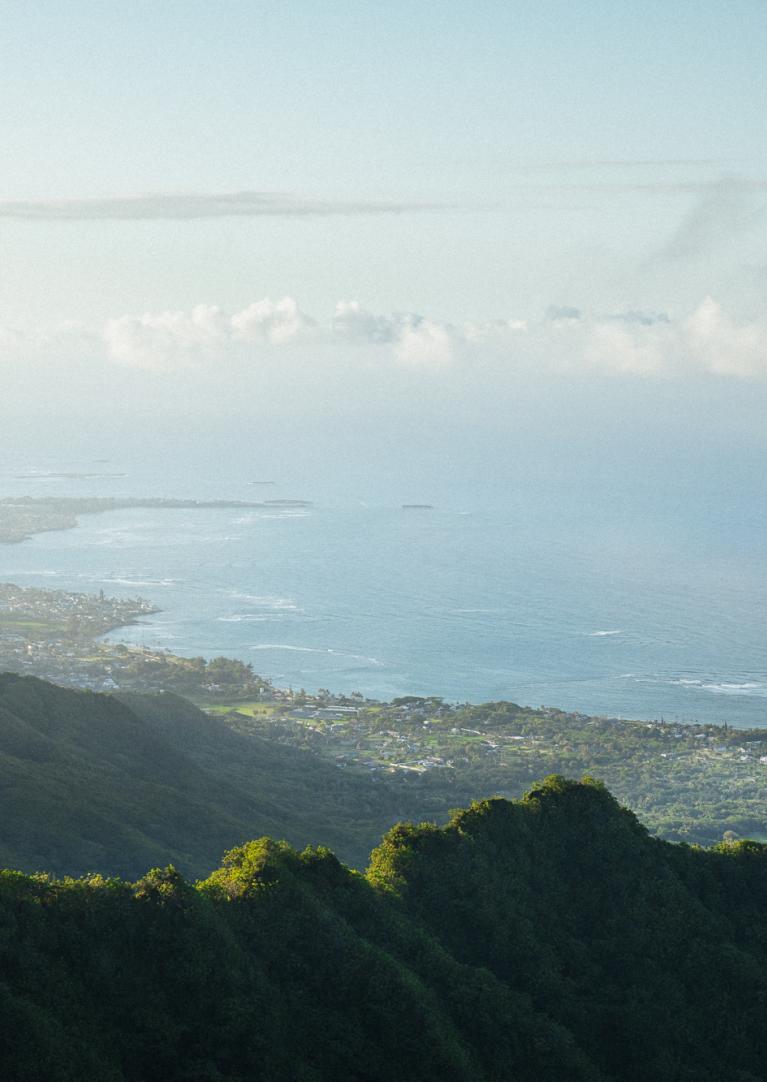 North Shore aerial