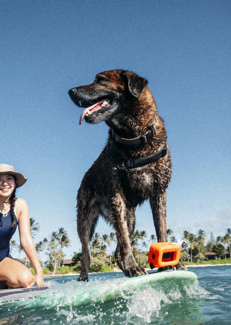 North Shore Surf with Pup