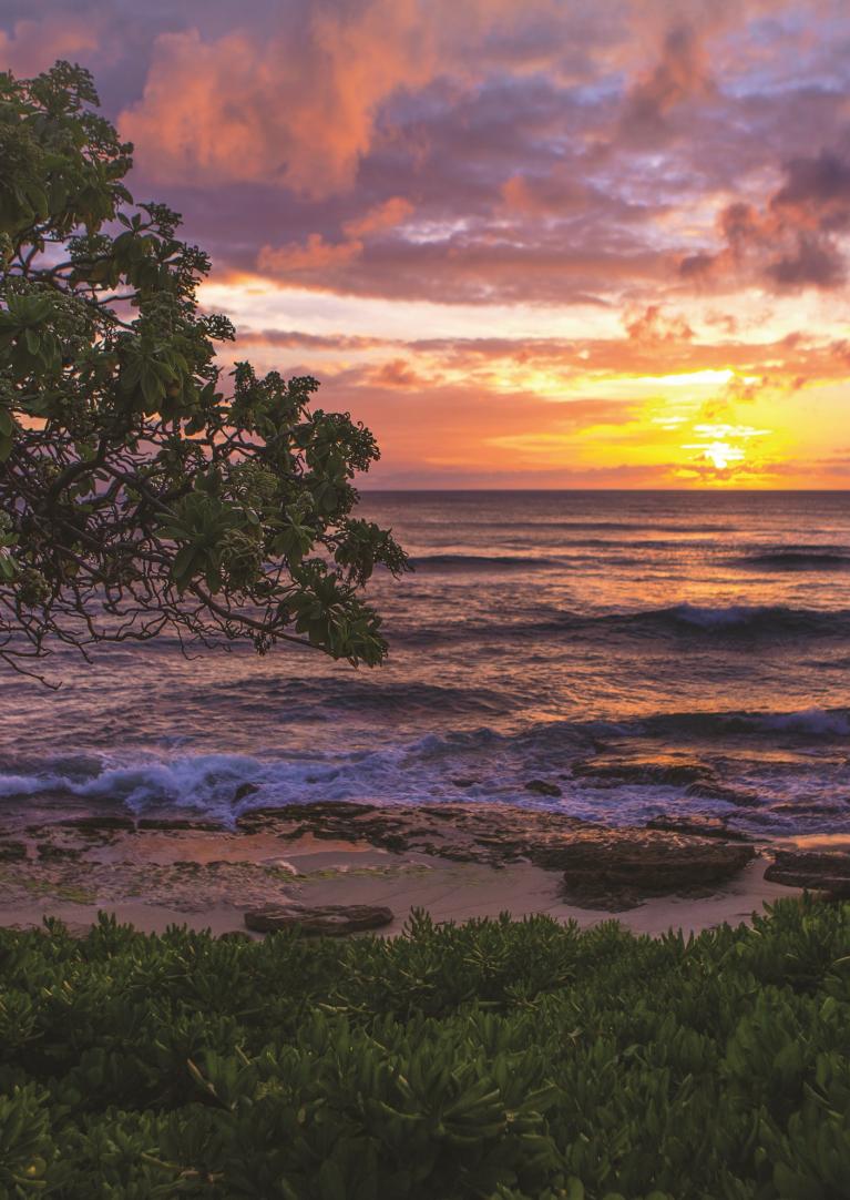North Shore sunset at Turtle Bay