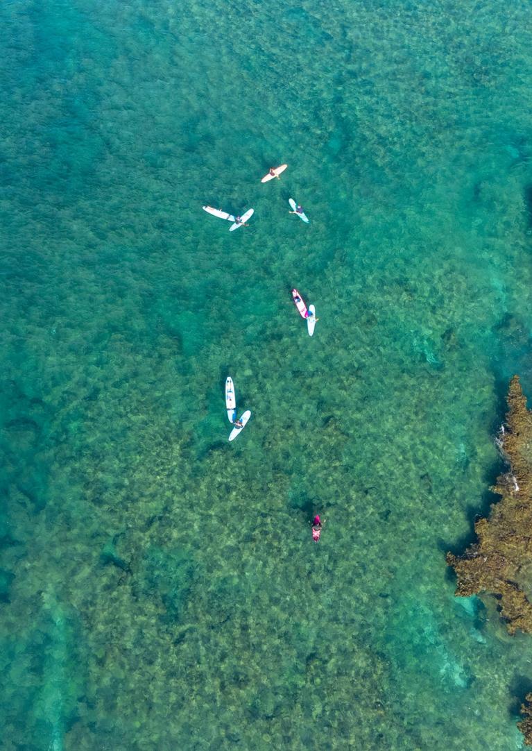 Jamie O'Brien Surf Experience Aerial View