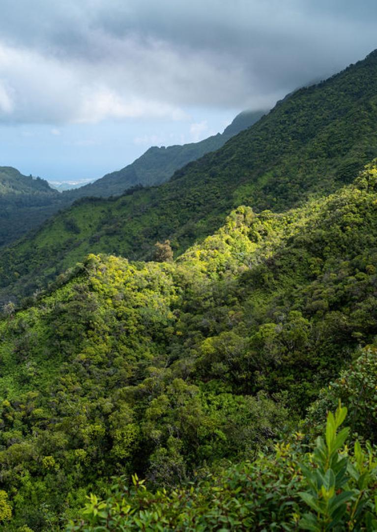 O'ahu Hike