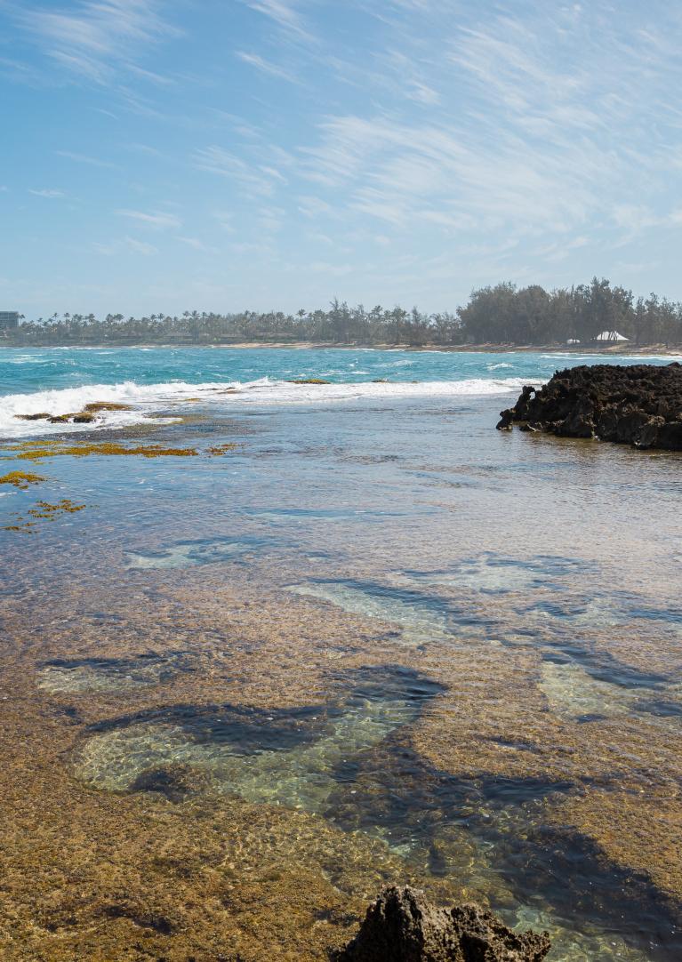 Hidden North Shore Beach