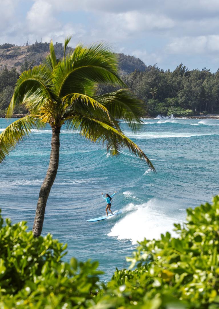 Surfing at Turtle Bay - JOB Surf Experience