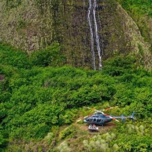 Island Experience