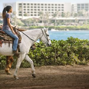 Horseback Riding