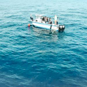 Shark Dive Boat