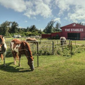 Stables