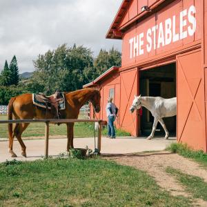 Stables Barn