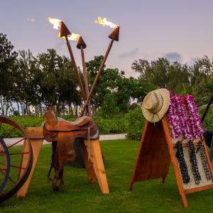 Paniolo Pāʻina Set