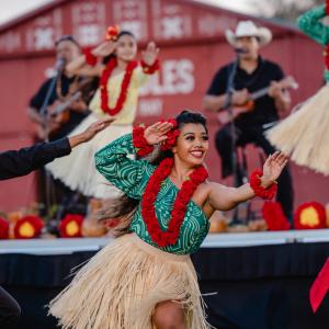 Paniolo Hula Dance