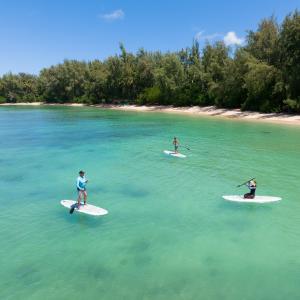 Jamie O'Brien Surf Experience