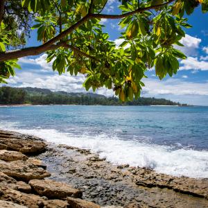 Oceanfront view from resort