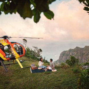 helicopter perch picnic
