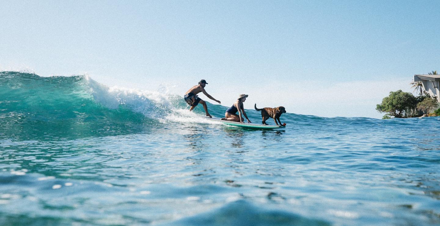 Surf with a Pup