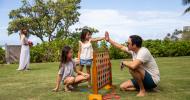 Family Lawn Games 