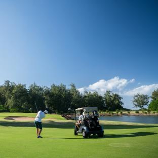 Golfers on Turtle Bay course green