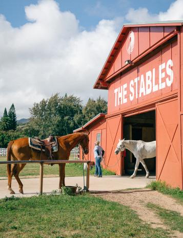 Stables Barn