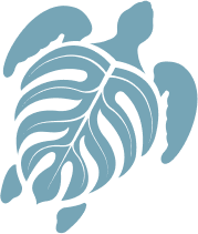 The Turtle Bay turtle icon
